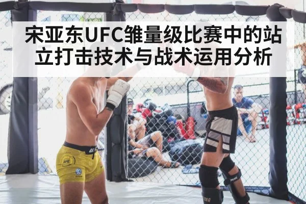 宋亚东UFC雏量级比赛中的站立打击技术与战术运用分析